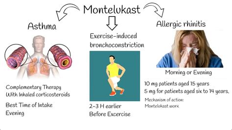 zykast mims|Montelukast: Indication, Dosage, Side Effect, Precaution .